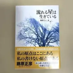 流れる星は生きている 藤原てい
