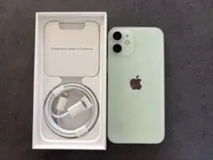 Apple iPhone 12 ミントグリーン 本体 - メルカリ