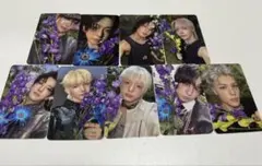 BacktoLlfe &TEAM ROARverA コンプセット