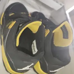 今！2012 NIKE AirJordan4 Thunder エアジョーダン 4