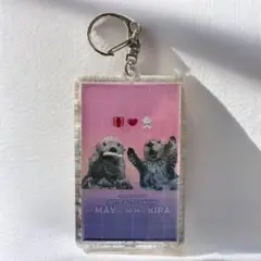 2026年最新】キラ・メイ 鳥羽水族館の人気アイテム - メルカリ