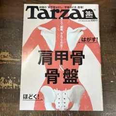 tarzan 肩甲骨
