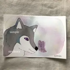 原画　水彩画　狼　蝶々　ポストカード　手描きイラスト　アナログイラスト