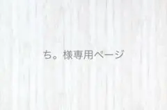 ち。様専用ページです