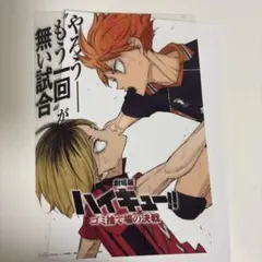 ハイキュー　ゴミ捨て場の決戦　A5クリアポスター
