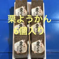 お土産　和菓子　ようかん　羊羹　お茶菓子　くり　　　栗よせ6個入　未開封のサムネイル