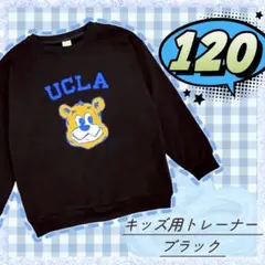 キッズ トレーナー クマ 男の子 女の子 長袖 子供服 お揃い 可愛い クマ