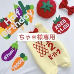 【3/11発送】ちゃ＊様専用