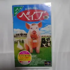 Item thumbnail for item f849f543-65b4-4a75-8a6d-bb04438cf0a9