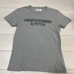 Abercrombie & Fitch Tシャツ グレー Sサイズのサムネイル