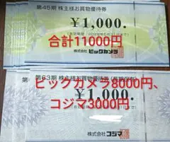 ビックカメラとコジマの株主優待券 11000円分