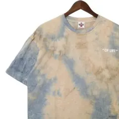 Item thumbnail for item ef856d4b-321c-4fd5-99c0-60678b6d1acd