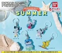 PEANUTS めじるしアクセサリー SUMMER 全5種 セット フルコンプ
