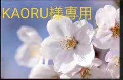 KAORU様専用