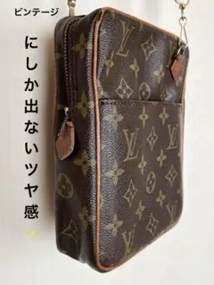 旧ダヌーブ　ルイヴィトンショルダー⭐︎レア⭐︎艶あり！キレイ⭐︎ ヴィンテージ【廃盤】