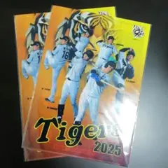 非売品】阪神タイガース 甲子園球場来場記念グッズ2026 クリアファイル