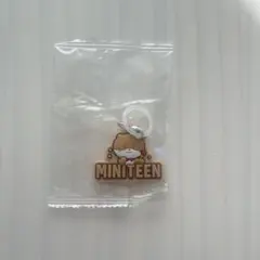 【即日発送】ミニティーンぷっくりめじるしアクセサリー ディノ