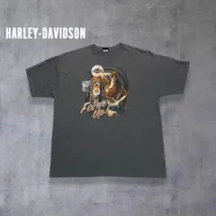 ハーレー Tシャツ ピンナップガール 両面プリント Hanes 墨黒 - メルカリ