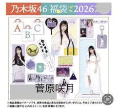 乃木坂46 2026年福袋A B C 19点　菅原咲月