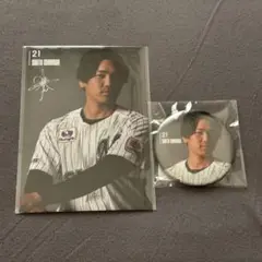 千葉ロッテマリーンズ 石川柊太 オンラインくじ ブロマイド 缶バッジ