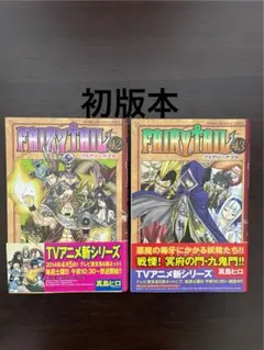 フェアリーテイル 57巻 限定版 真島ヒロ 10週年記念 - メルカリ