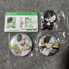 【新品未使用】ラメキラ缶バッジ　桜遥　10点セット グッズ-バッチ】WIND BREAKER キラキラ缶バッジ 桜 遥 | アニメイト