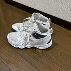 asics バスケットボールシューズ ホワイト