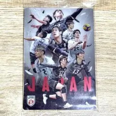 男子日本代表 バレーボール ツインウエハース