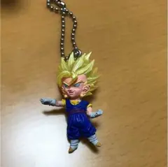 ポム君(๑˃̵ᴗ˂̵)様 専用ページ ベジット