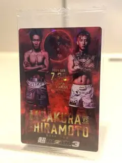 ◎RIZINウエハースカード 朝倉未来 平本蓮 シークレットレア 貴重　ライジン