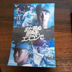 ファイターズ　エスコン　ステッカー　逹孝太　水谷瞬
