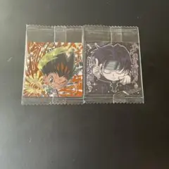 HUNTER×HUNTERウエハースシール　ゴンHR クロロHR 2枚セット