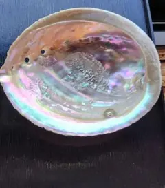 Item thumbnail for item c8222127-f9c7-4676-9797-a4d7ad84fda7