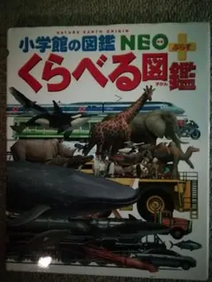 Item thumbnail for item 79937d9c-02e3-40f4-a308-42870576159f