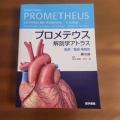 Item thumbnail for item 1207decc-da1c-450e-8d37-90d9a2ddf4ff