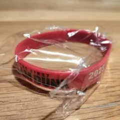 THE FIRST SLAM DUNK シリコンバンド