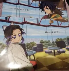 鬼滅の刃　冨岡義勇　胡蝶しのぶ　クリアファイル　眉山　セット