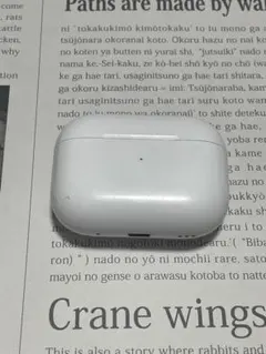 ⑩151974 Apple 純正品　AirPods Pro 第二世代 充電ケース