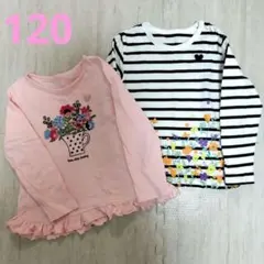 ベルメゾン GITA 名札ココ 長袖Ｔシャツ２枚セット