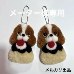 メーター様専用