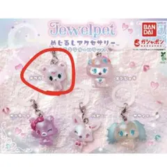 寶石寵物標記飾品 拉布拉