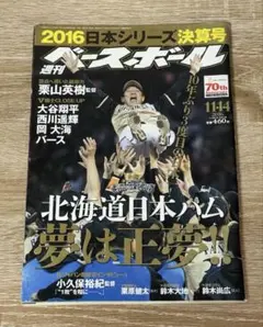 17年分フルセット】メジャーリーグ完全データ選手名鑑（2008-2024
