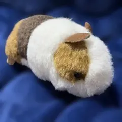 【上野動物園】モルモット　ぬいぐるみのサムネイル