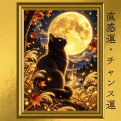 黒猫 直感運・良縁運・チャンス運上昇 開運アート 幻想画 風水 スピリチュアル