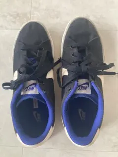 NIKE スニーカー 417784-041 28cm キャンバス