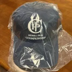 Item thumbnail for item bd6eb08f-045a-4219-9dfa-85b962a9de5e