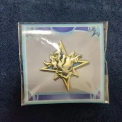 fate展 FGO 星見の回廊 グランドクラスアイコンピンバッジ セイバー
