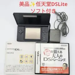 Nintendo DS Lite ブラック 脳トレ付 充電器・ケース付 美品