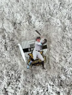 佐藤輝明　アクスタ