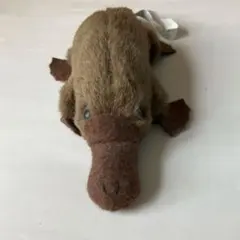 カモノハシ ぬいぐるみ 約18cm